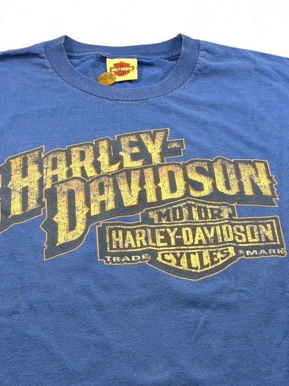 Vintage Y2K Harley-Davidson Cancun Mexico Iguana Motorcycle Tee 2XL